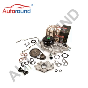 Timing Chain Kits TK3165 KT34194S TS33220 TCS45993 R76500 C3210 For CADILLAC