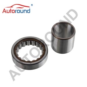 Wheel Bearing 042062903 For IVECO