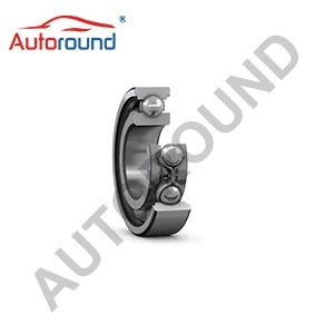 Wheel Bearing 160172RS