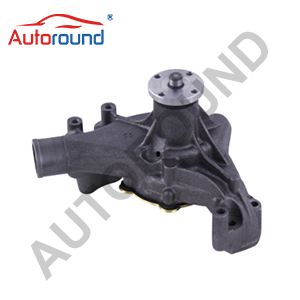 Water Pump 12522016 10049026 For CHEVROLET
