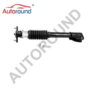 Shock absorber 171799 1332310 For BUICK